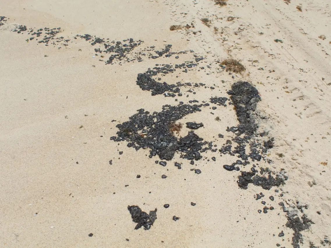 Imagem da notícia UFC inicia análise de manchas de óleo que surgiram no Litoral Leste do Ceará