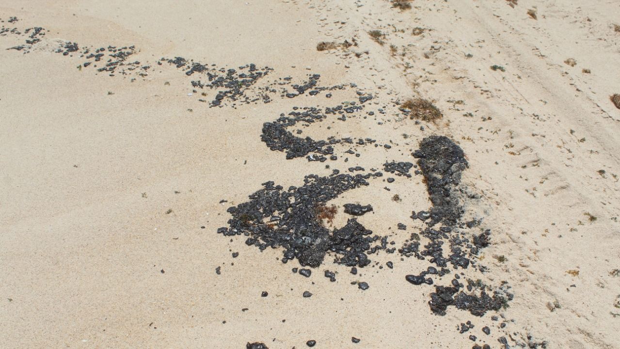 pedaços de vestígios oelosos na faixa de areia