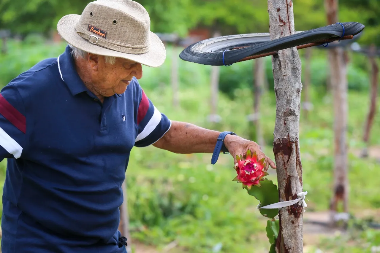 O agrônomo Joaquim iniciou o plantio de pitaya em junho de 2021