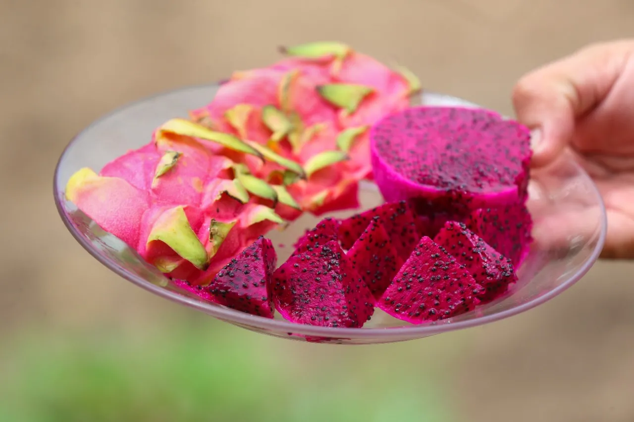 Segundo Sílvio Carlos, Ceará exportou cerca de US$ 160 em pitaya no ano passado.