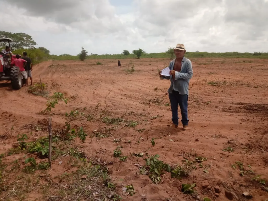 Com assistência especializada, agricultores mudam culturas de plantio e se adaptam a realidade dos poucos eventos pluviométricos