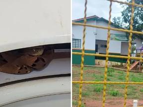 Cobra encontrada em escola do Mato Grosso do Sul