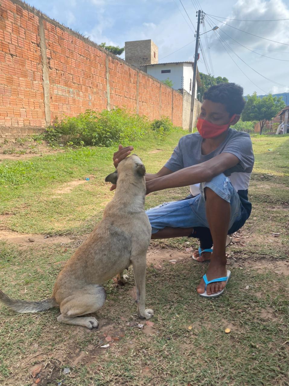 O jumento, nosso bicho de estimação - Paulo Henrique Rodrigues (o PH) -  Diário do Nordeste