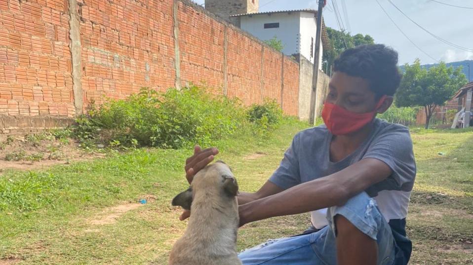 O jumento, nosso bicho de estimação - Paulo Henrique Rodrigues (o PH) -  Diário do Nordeste