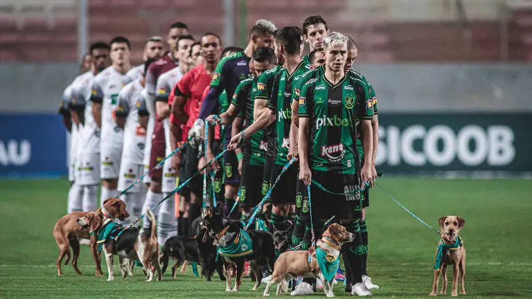 capa da noticia