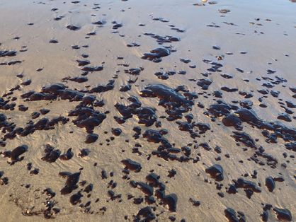 Machas de óleo registradas na Praia do Cumbuco, Caucaia, em 8 de fevereiro de 2022