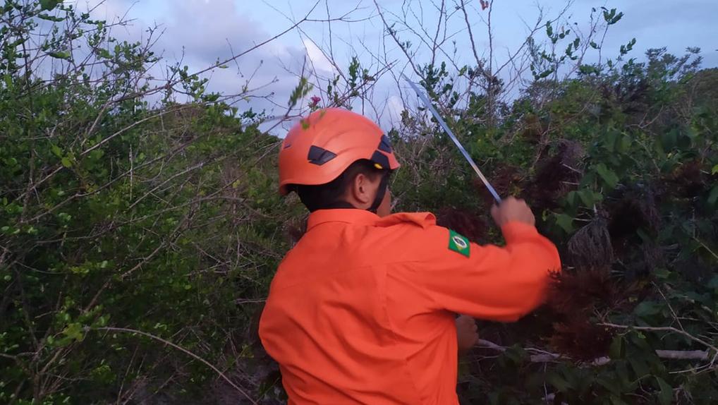Bombeiros corta galhos de vegetação em zona de mata fechada onde idosa desapareceu em Acaraú