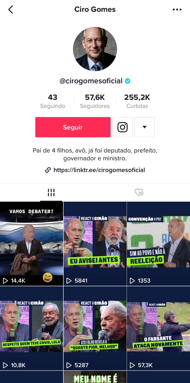 Perfil do ex-ministro Ciro Gomes no TikTok.