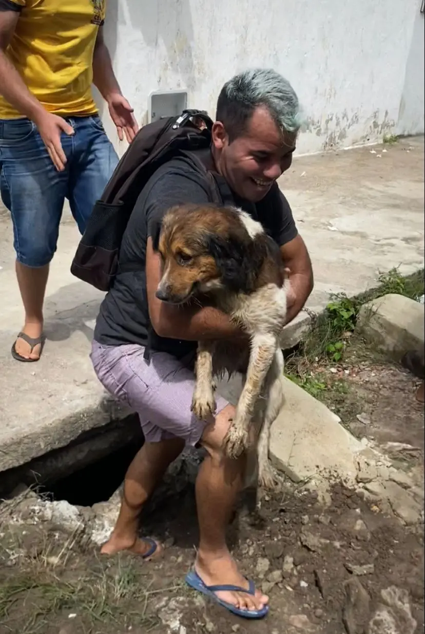 Cão é resgato de boeiro por moradores do bairro Jangurussu