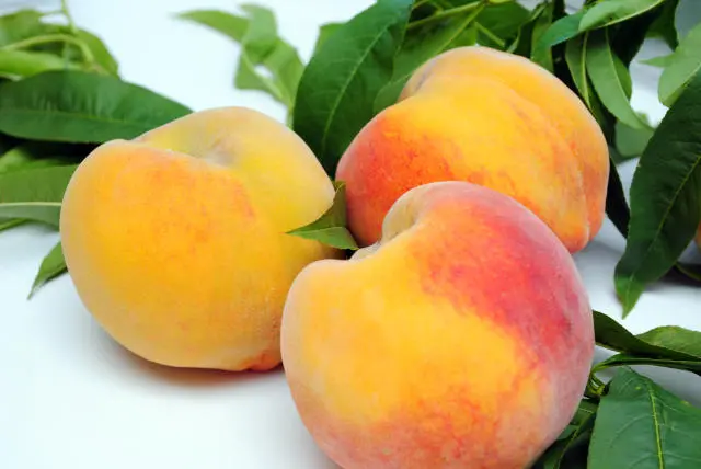 Cultivar de pêssego Rubimel