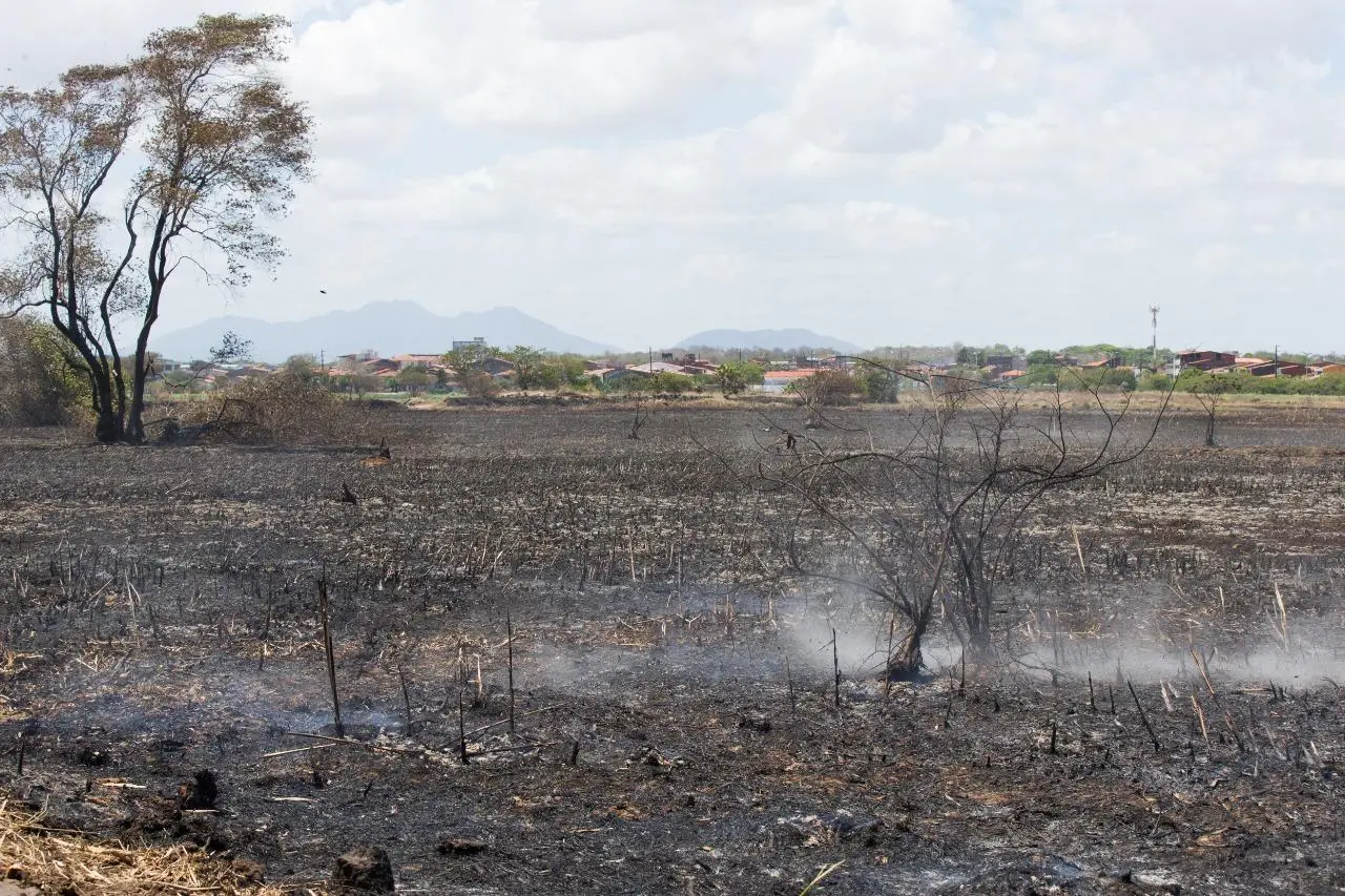Área devastada pelo Parque do Cocó