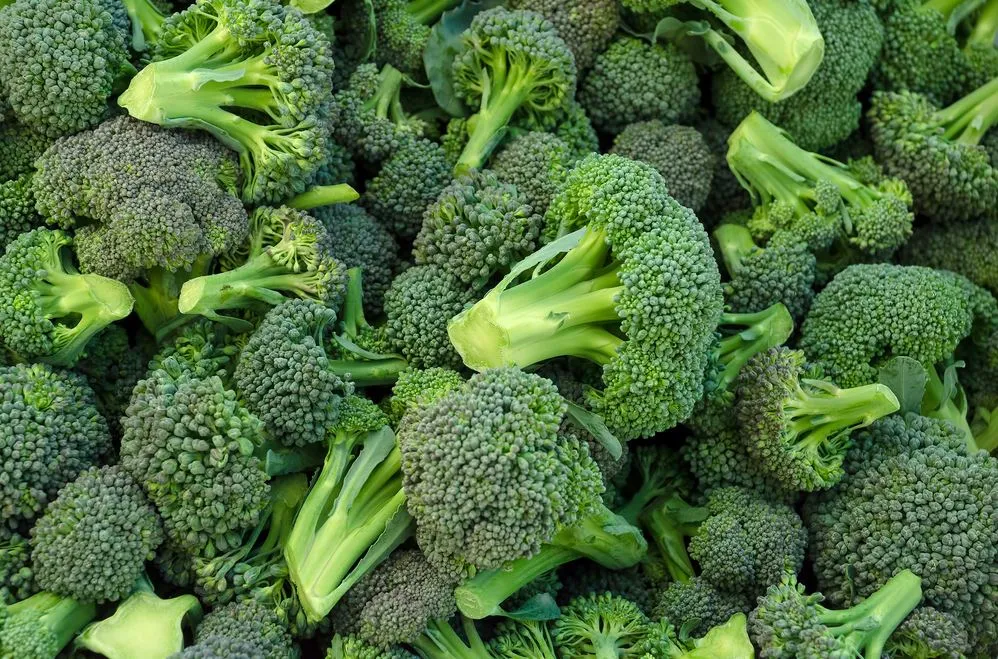 100g de brócolis cozido tem apenas 28kcal