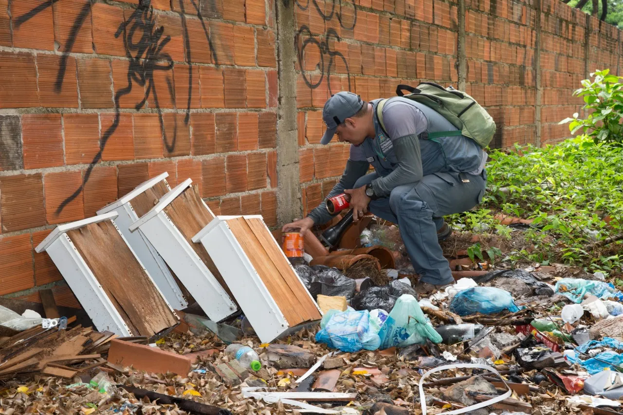 Vigilância tem mais relevância durante quadra chuvosa pelo aumento de criadouros da doença