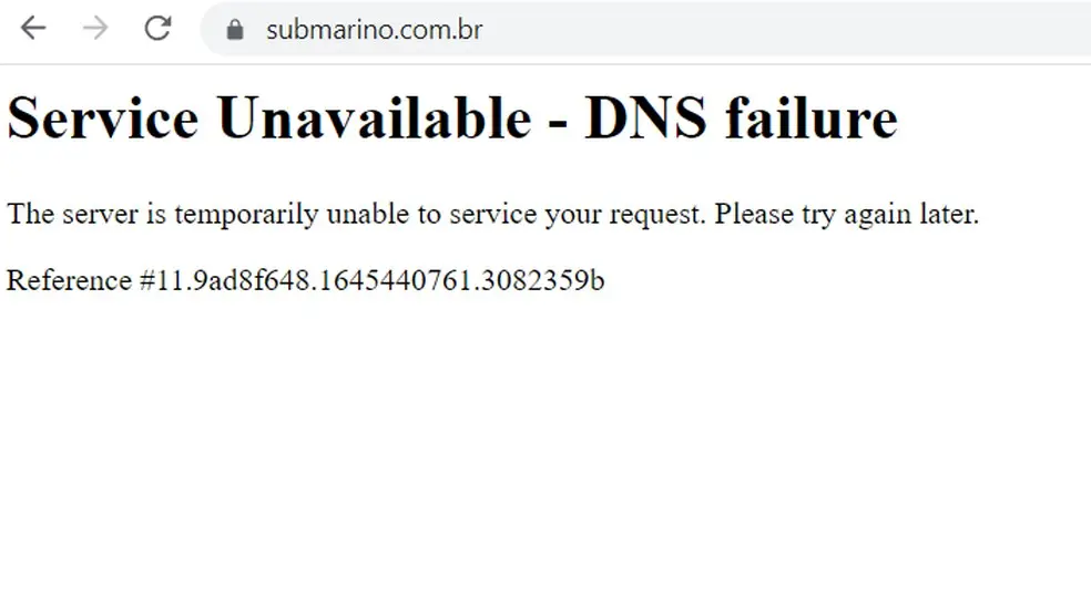 Site Americanas e Submarino