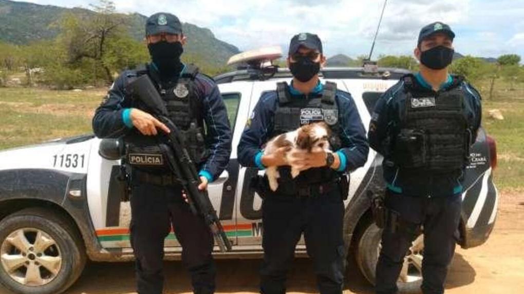Policiais segurando cachorro Shih Tzu, que foi resgatado após ser furtado no Ceará