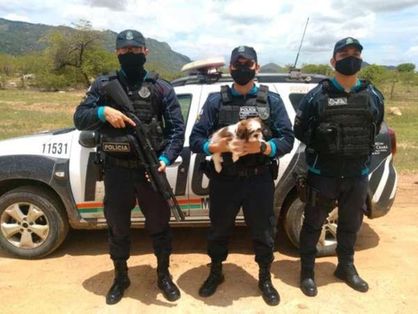 Policiais segurando cachorro Shih Tzu, que foi resgatado após ser furtado no Ceará