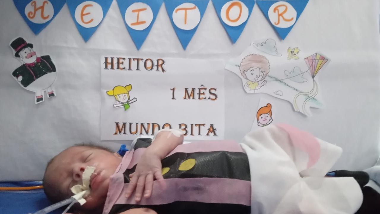 Bebês internados em maternidade escola ganham mesversários da equipe  Neonatal; veja fotos - Ceará - Diário do Nordeste