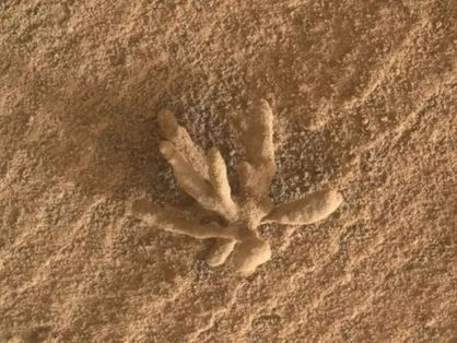 Estrutura que se assemelha a flor em Marte