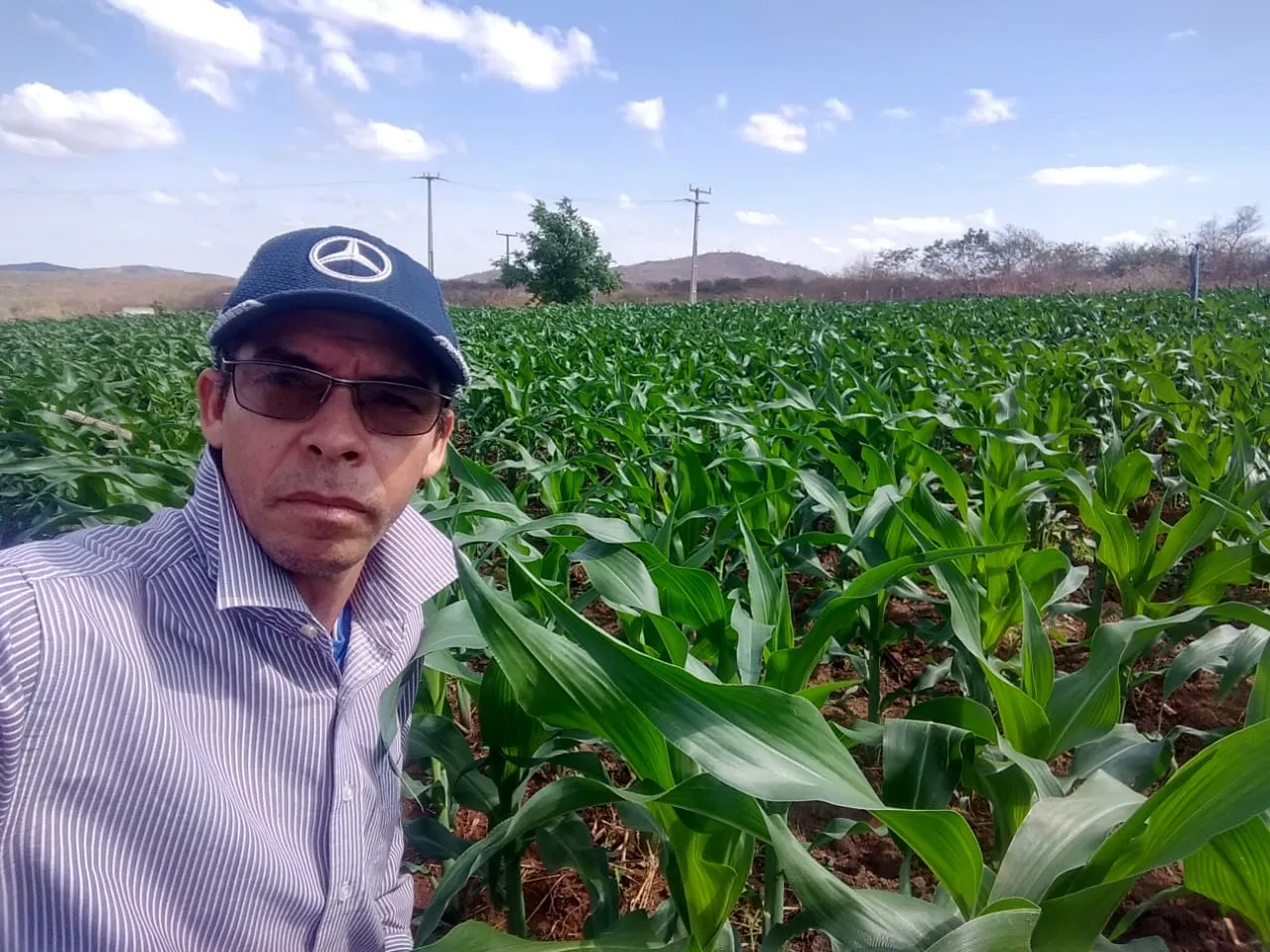 O produtor Francisco Celso comemora a boa safra do milho, na cidade de Caríus