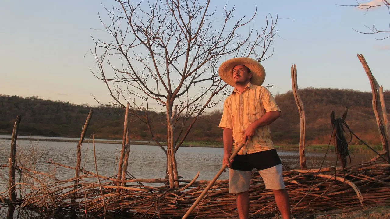 Com o bom volume de chuvas, as culturas de sequeiro se beneficiam
