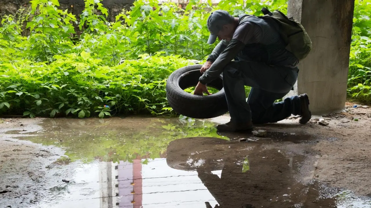 agente de endemias fortaleza