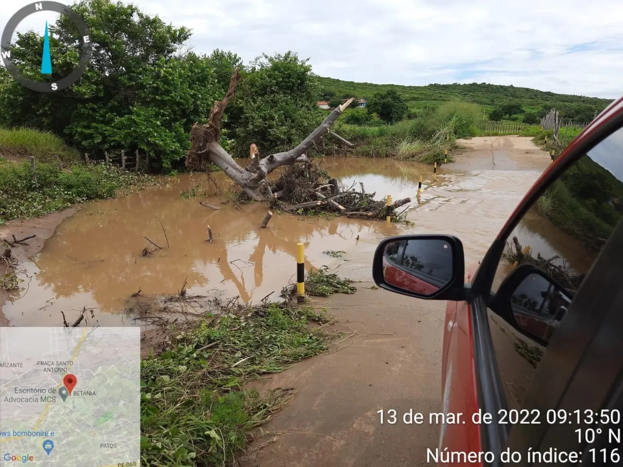 Arvore jogada na estrada