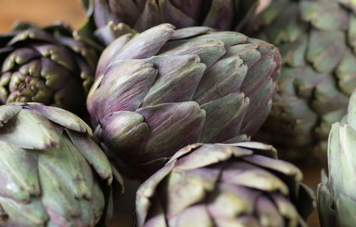Alcachofra