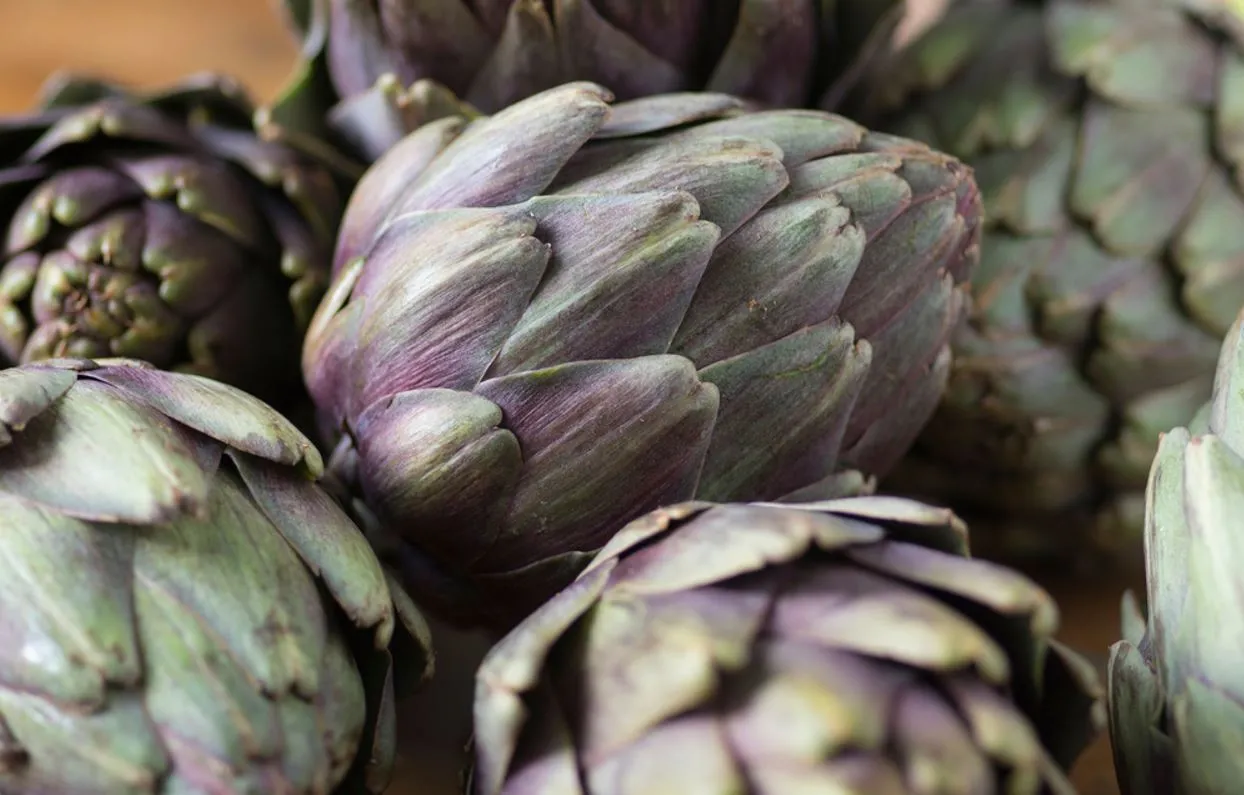 A planta pode ser encontrada principalmente em feiras e lojas de produtos naturais