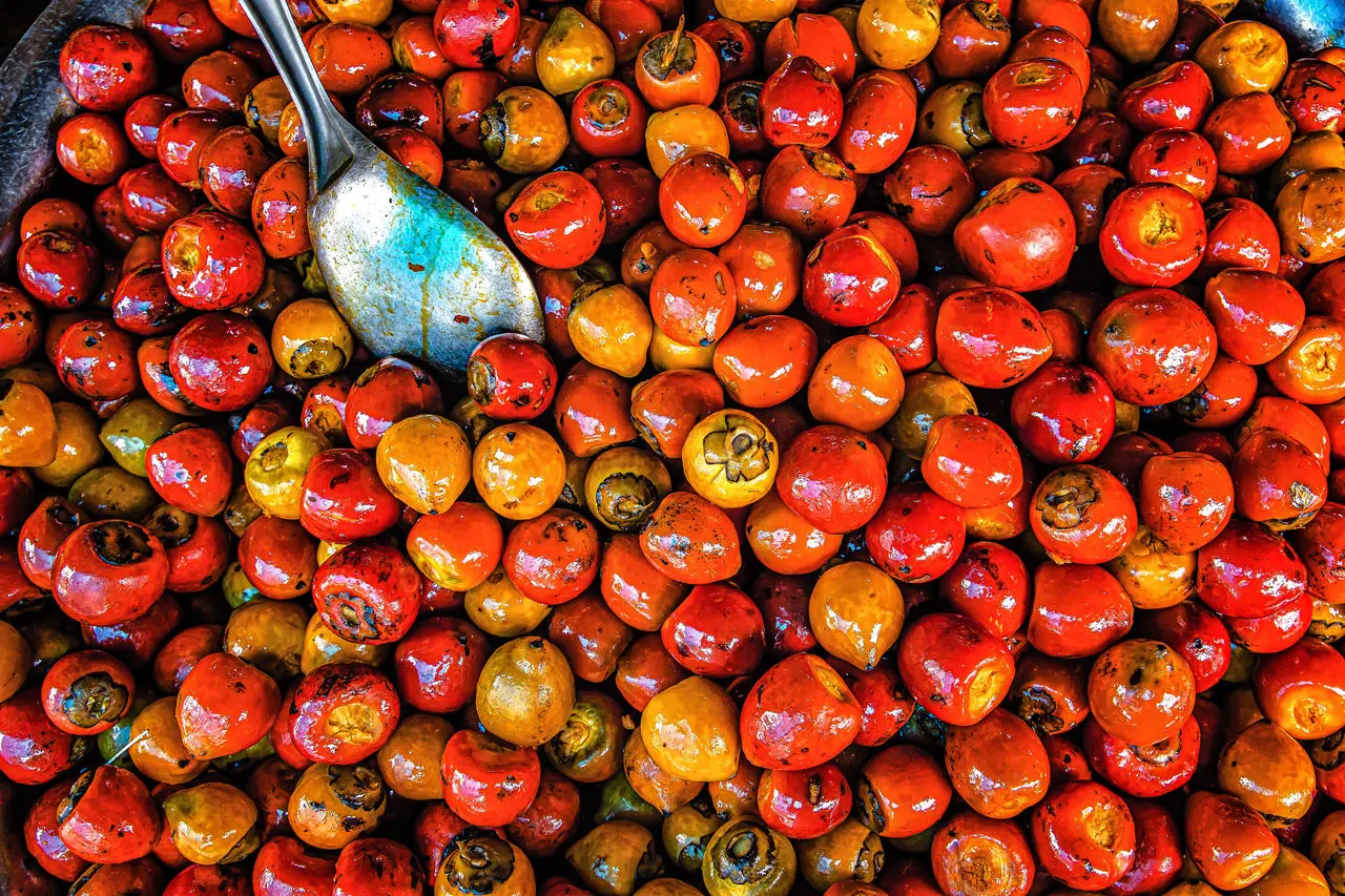 Diversas pupunhas maduras