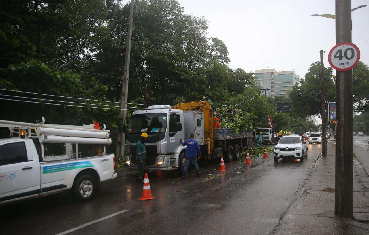 Árvore caída na Avenida Engenheiro Santana Jr.