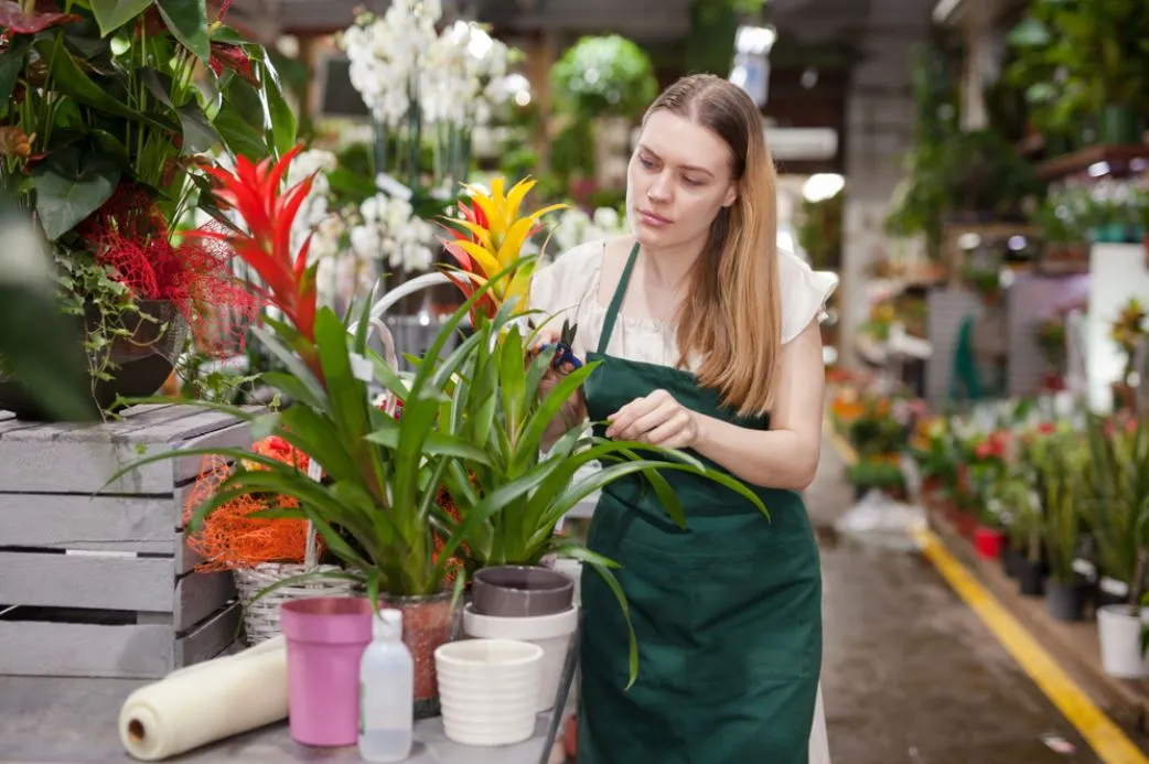 A frequência de floração das bromélias varia de acordo com cada espécie