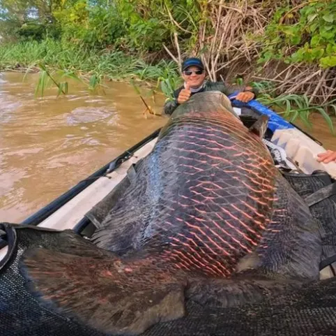 Peixe ocupou todo o espaço do caiaque onde os homens estavam