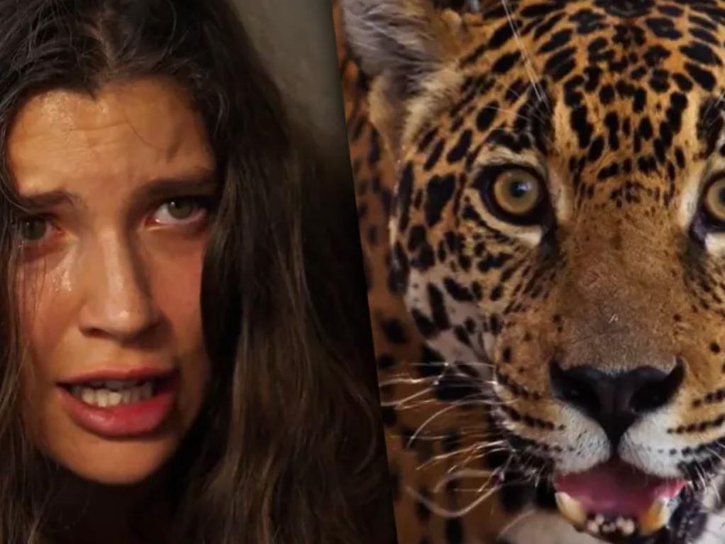 Qual a atriz famosa que torna animais selvagens em dóceis? - Charada e  Resposta - Geniol