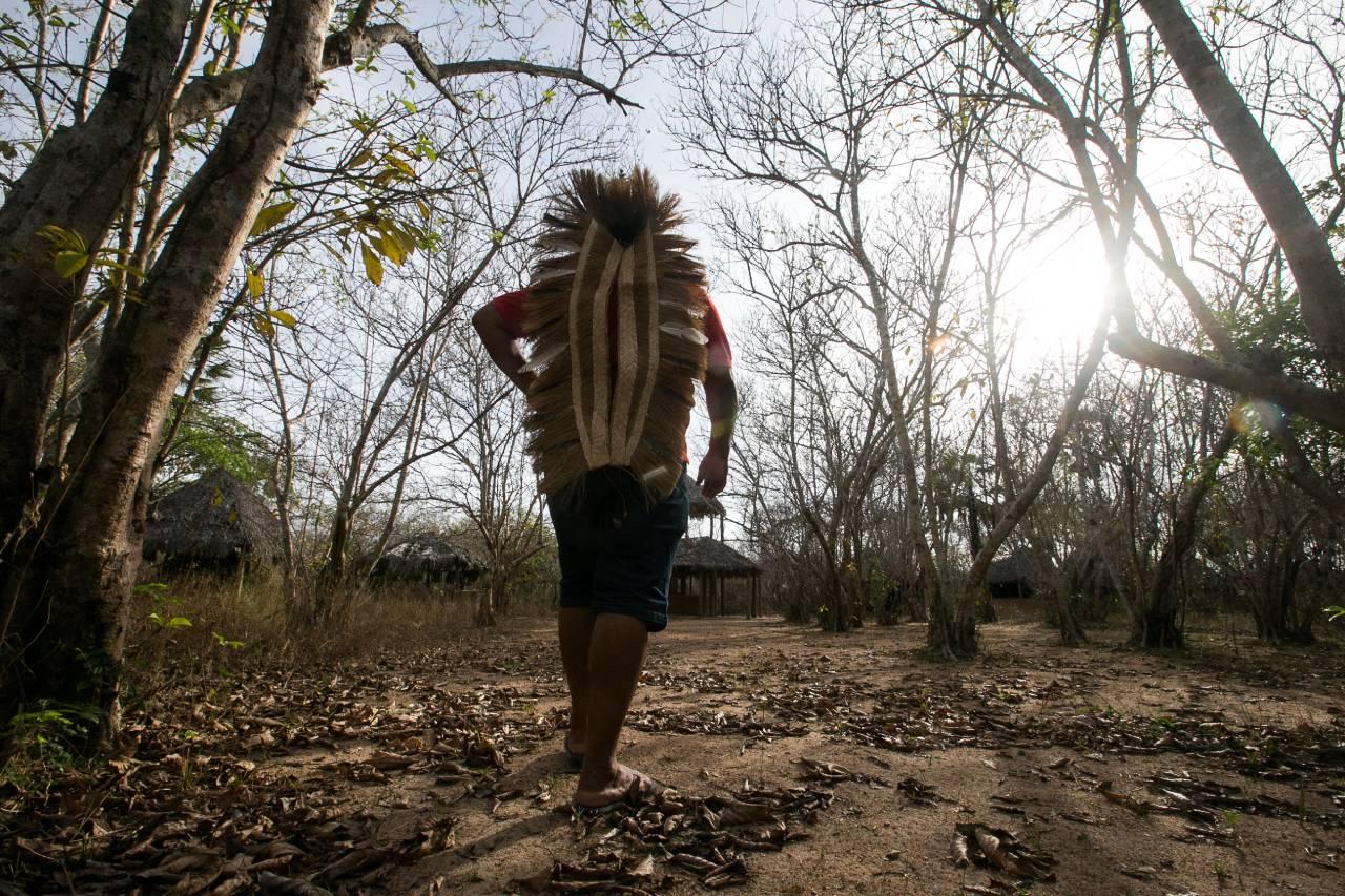 POVOS INDIGENA DOS TAPEBAS, DOURADO TAPEBA