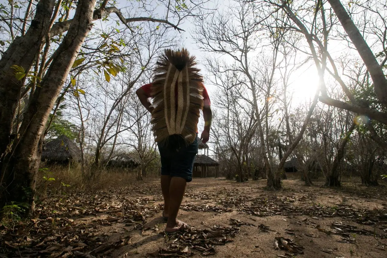 POVOS INDIGENA DOS TAPEBAS, DOURADO TAPEBA