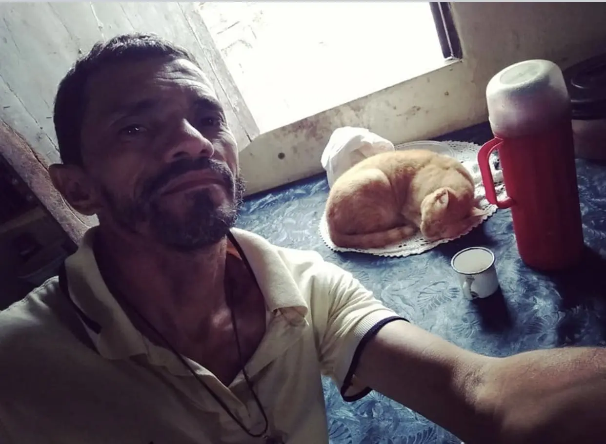 Gato januário nas redes sociais