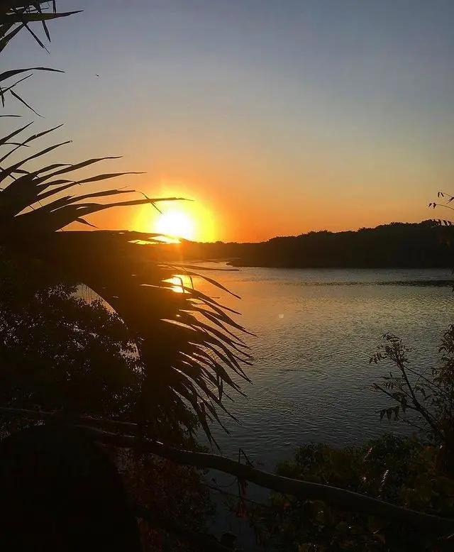 Tempero do Mangue