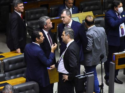 Erinaldo Dantas e Domingos Neto no plenário da Câmara dos Deputados