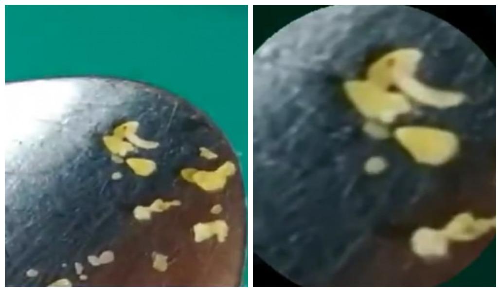 Larva encontrada em comida