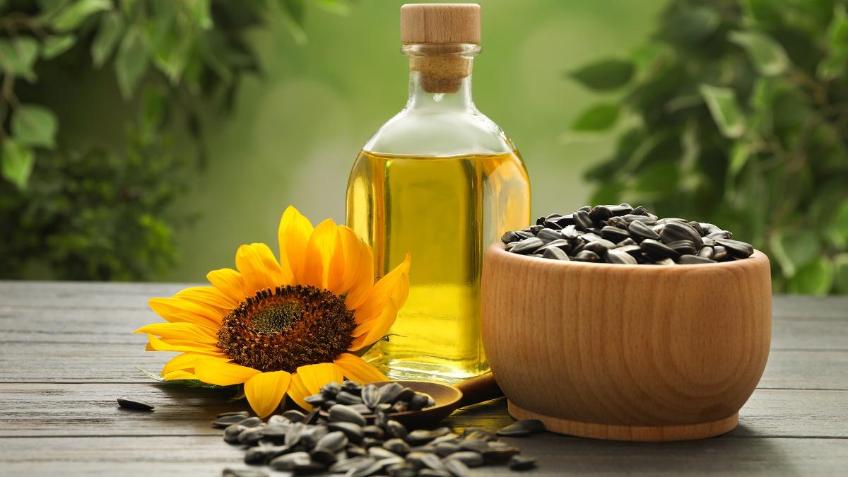 Óleo de girassol: veja benefícios para pele e cabelo - Ser Saúde ...