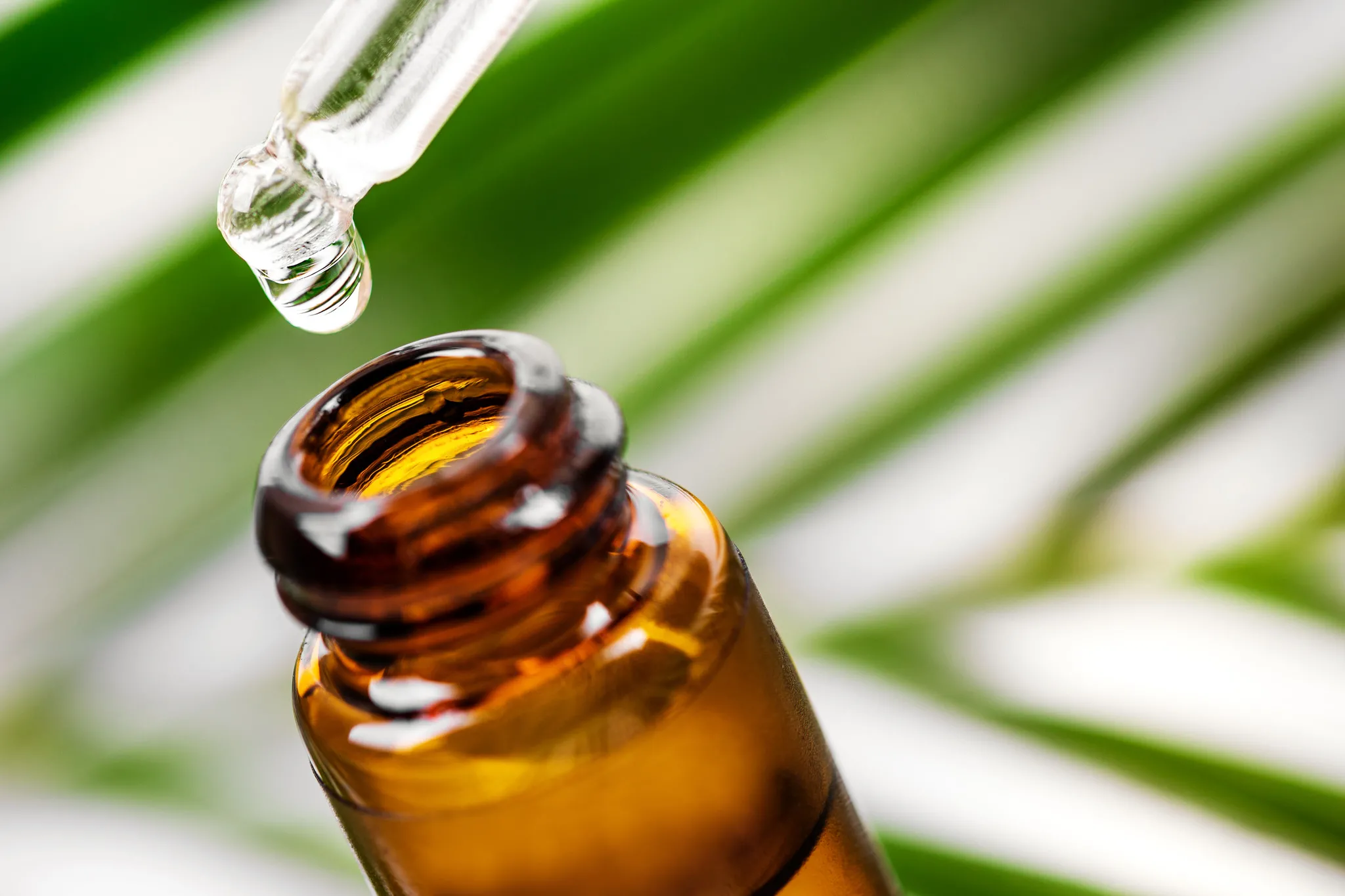 O óleo de melaleuca é encontrado a venda em lojas de produtos naturais