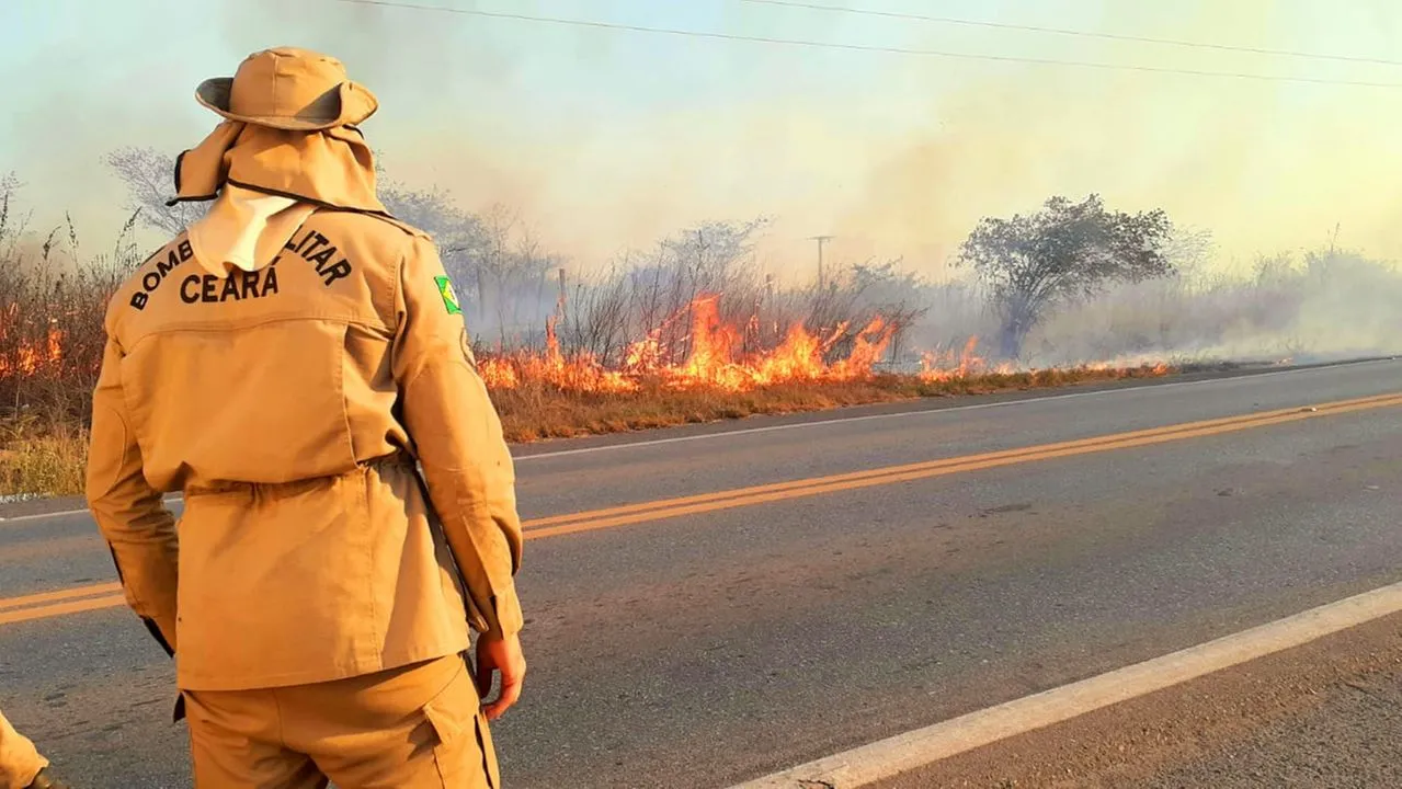 Chapada do Araripe abriga diversas espécies endêmicas que estão ameaçadas de extinção. Incêndios aceleram esse processo