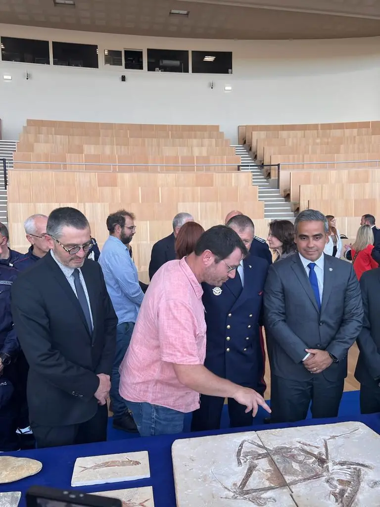 Ceará recebe fóssil que havia sido contrabandeado