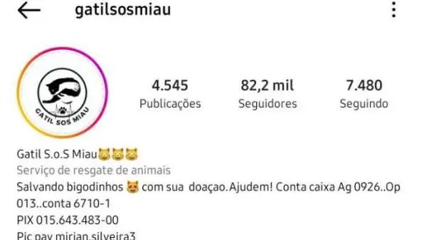 capa da noticia
