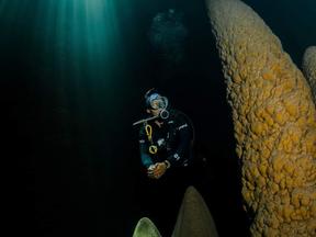 fotografia premiada com mergulhador no fundo do mar em bonito, mato grosso do sul
