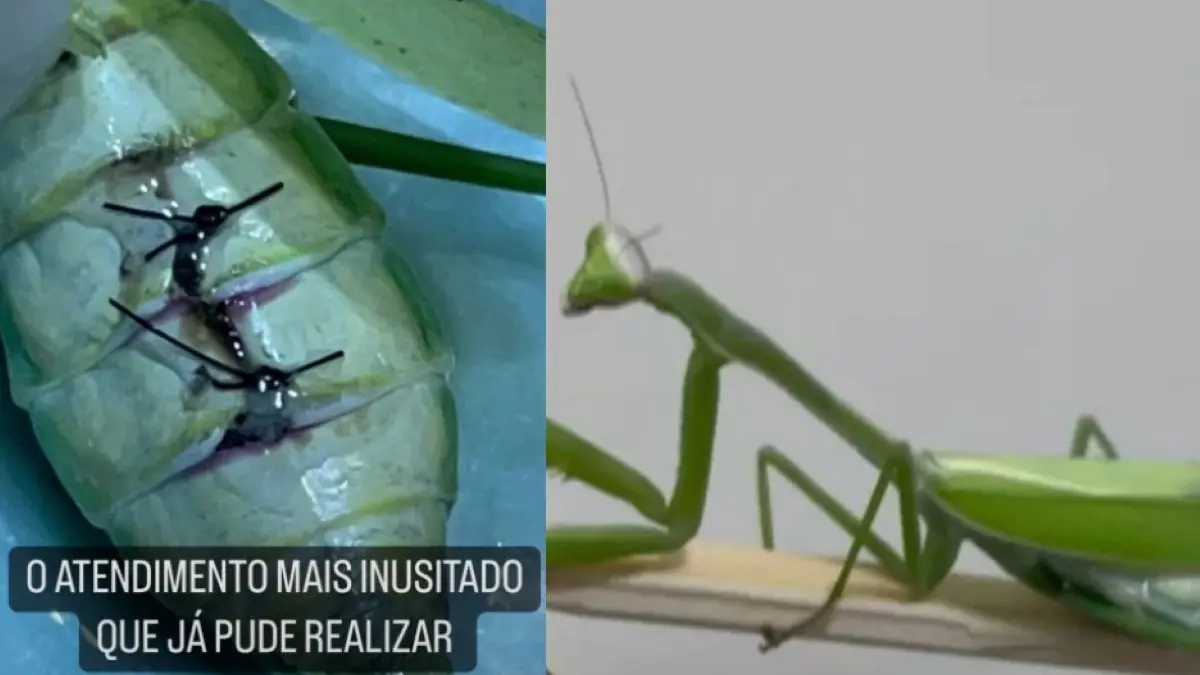 capa da noticia