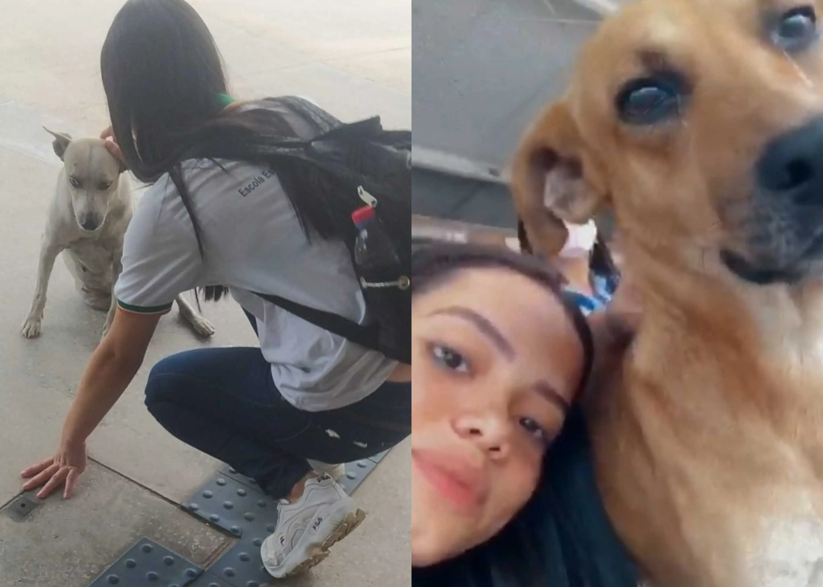 Letícia leva até 2 kg de ração para alimentar animais em Terminal