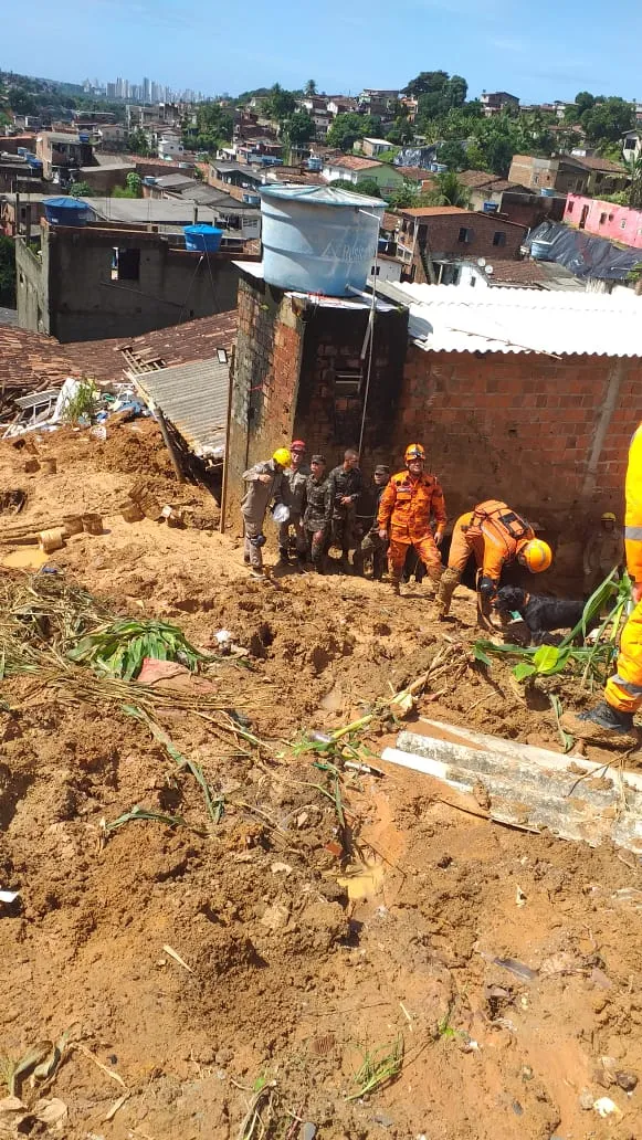 Uma das maiores dificuldades das buscas e resgates de corpos, segundo o capitão, é a densidade da lama que resulta dos deslizamentos – e a impossibilidade de prever onde as vítimas foram parar.