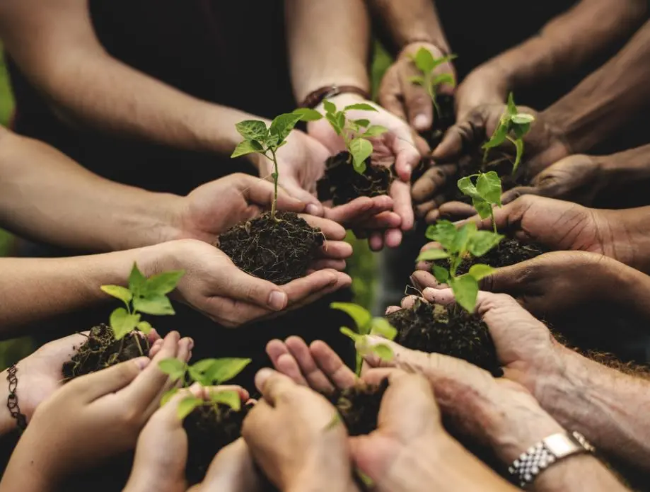 pessoas reunidas segurando mudas