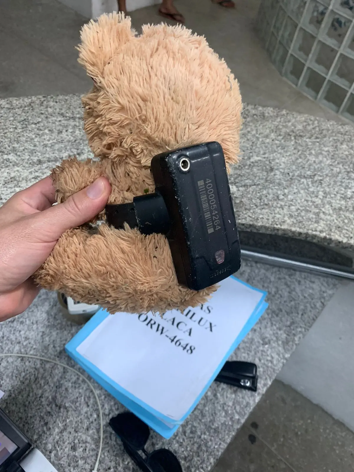 Urso de pelúcia com tornozeleira eletrônica em Quixadá
